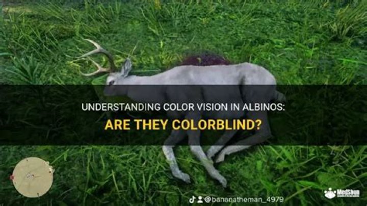 Are albinos colorblind?