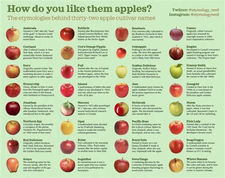 Are apples alive?