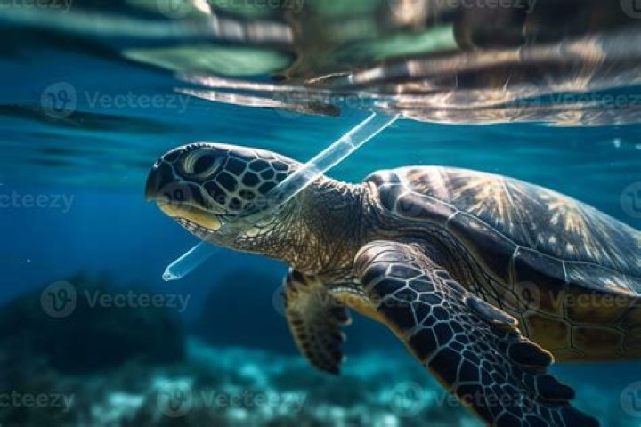 At what temperature do plastic straws melt?