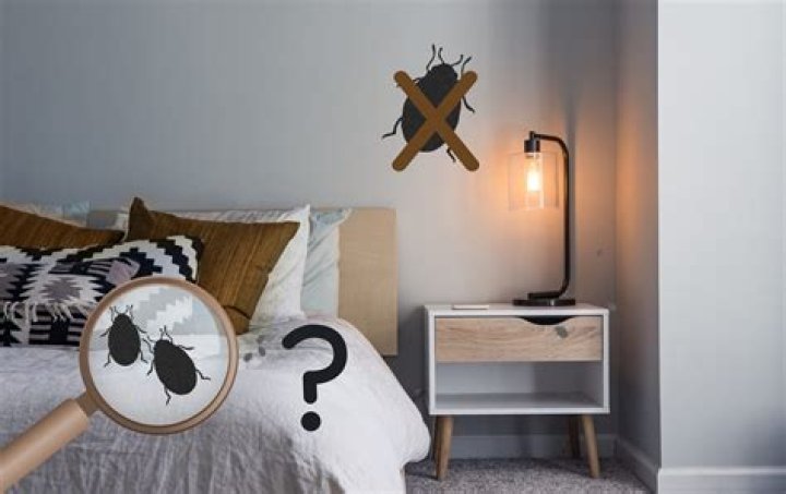 Can bed bugs live in the walls?