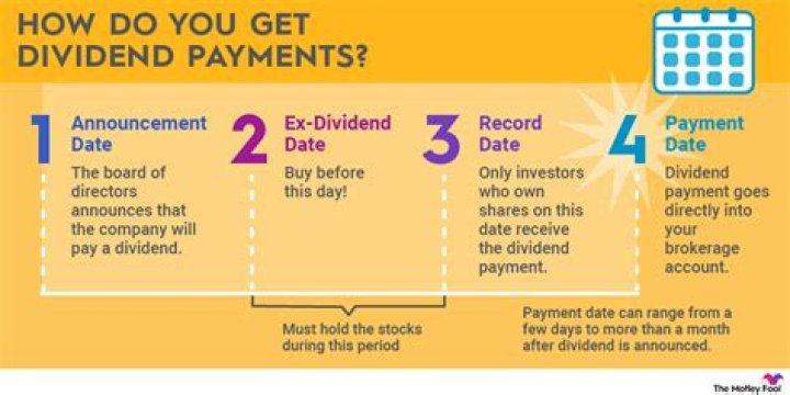 Can dividend be paid without profit?