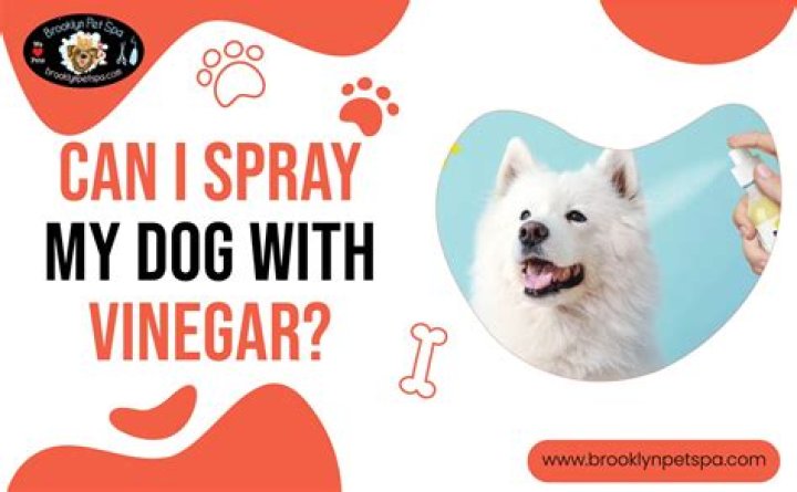 Can my dog tell I'm menstruating?