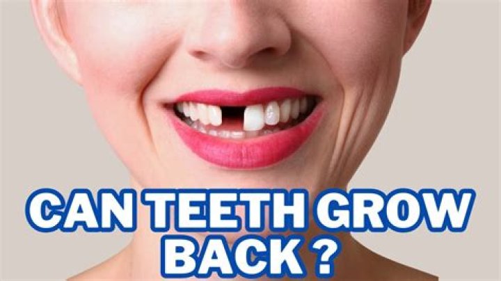 Can wolf teeth grow back?