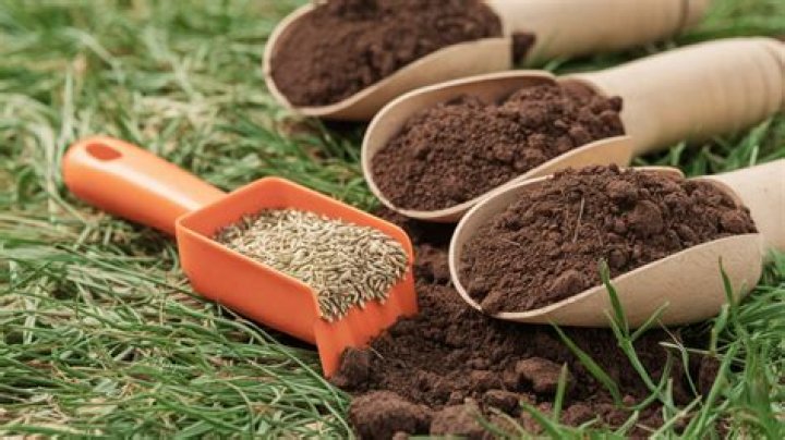 Can you mix grass seed with topsoil?