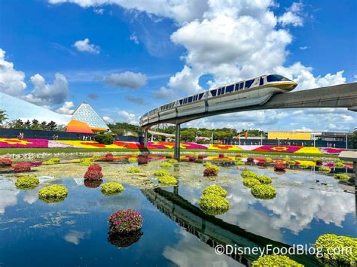 Can you ride the monorail at Disney without a ticket?