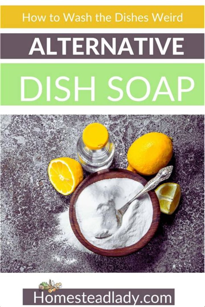 Can you wash dishes without dish soap?