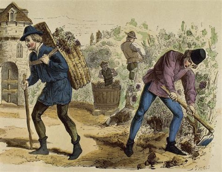 Did peasants have freedom?