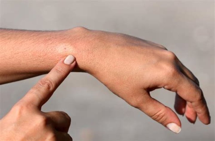 Do Ground bees bite or sting?