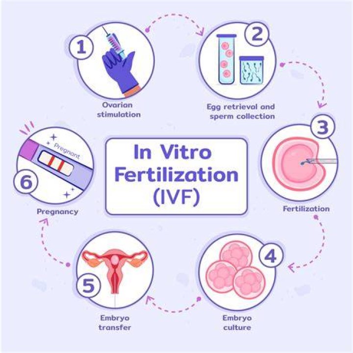 Do IVF babies come on time?