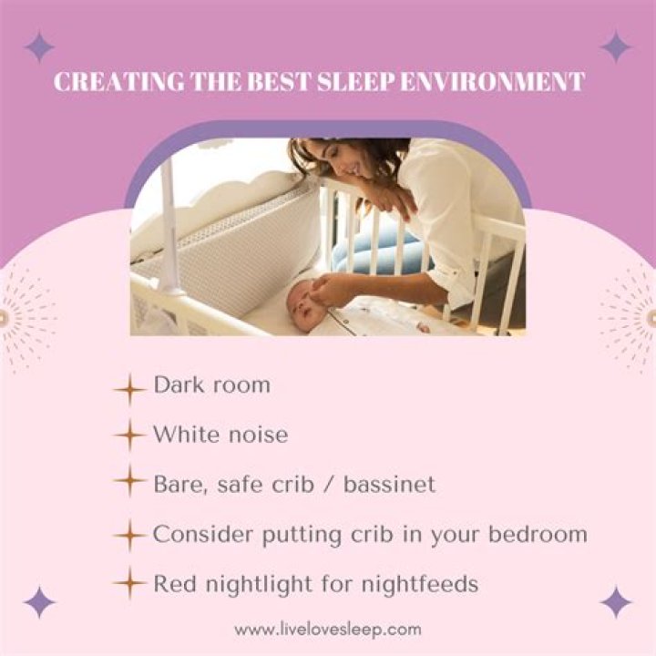 Do rats like to sleep in dark or light?