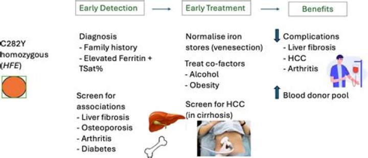 Does a hematologist treat hemochromatosis?
