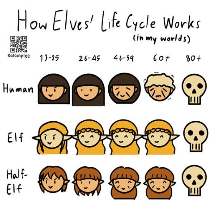 How are elves named in DND?