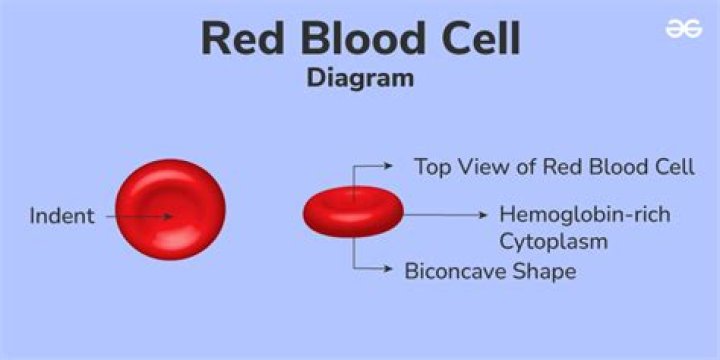 How can I lower my red blood cell count naturally?