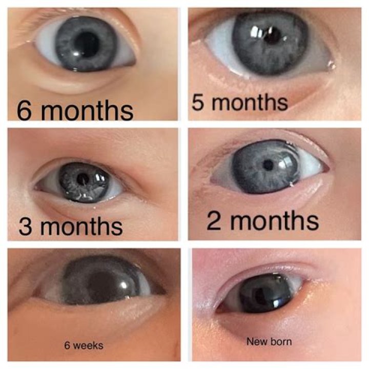 How can you tell if your baby is going to have blue eyes?