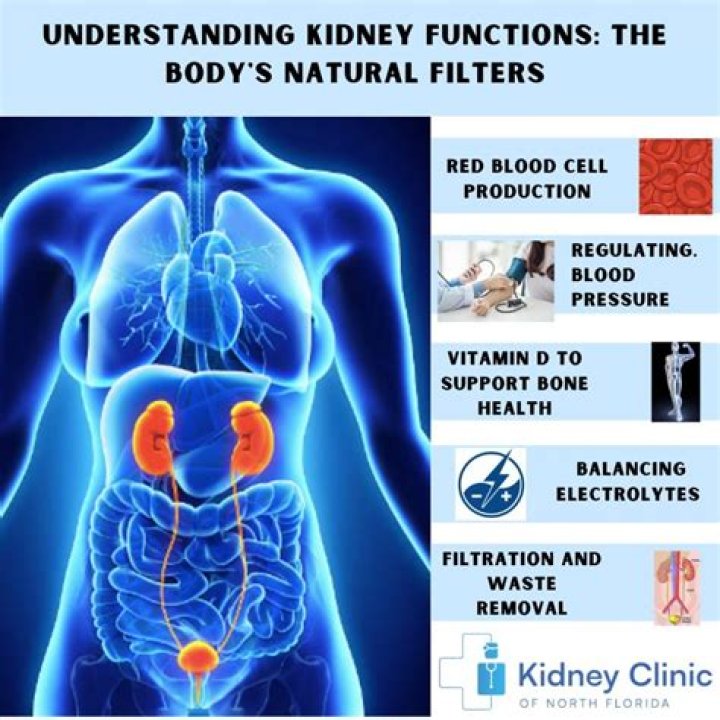How do I know if my kidney function is improving?