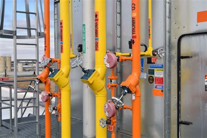How do you cure ammonia?