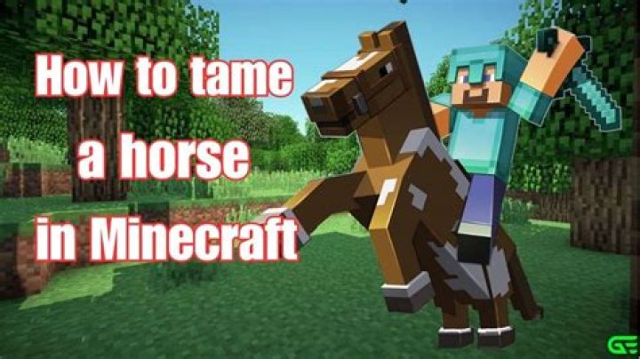 How do you tame a tiger?