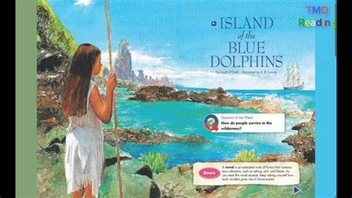 How long did Karana live on the island alone?