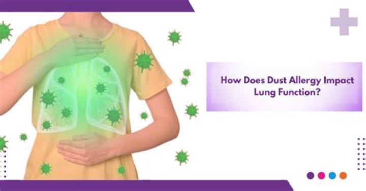 How long does dust linger in the air?