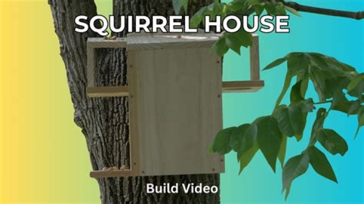 How many homes does a squirrel have?