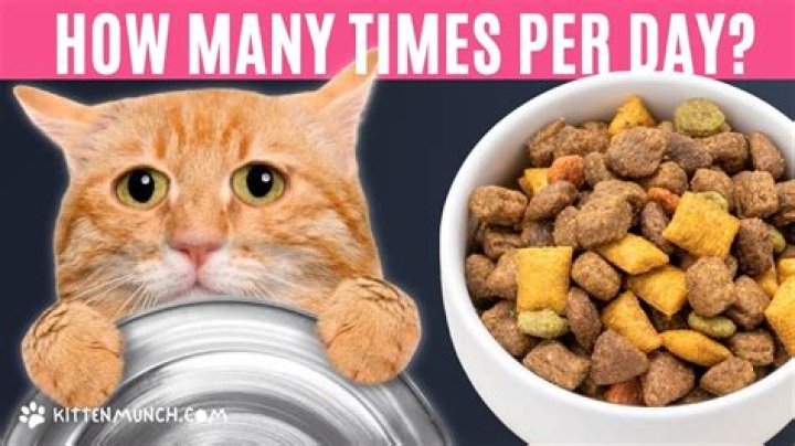 How many times a day should you do nerve glides?