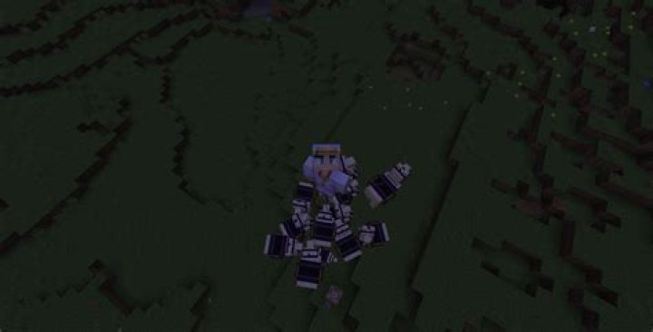 How Much Can Steve lift Minecraft?