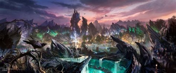 How much land is unused at Disney World?