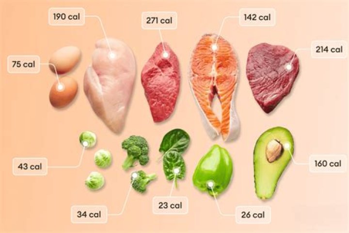 How much meat should you eat a day to lose weight?