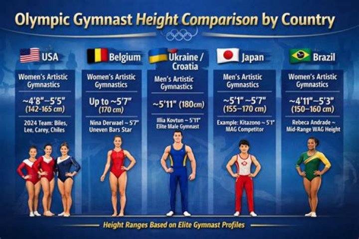 How tall is an average gymnast?