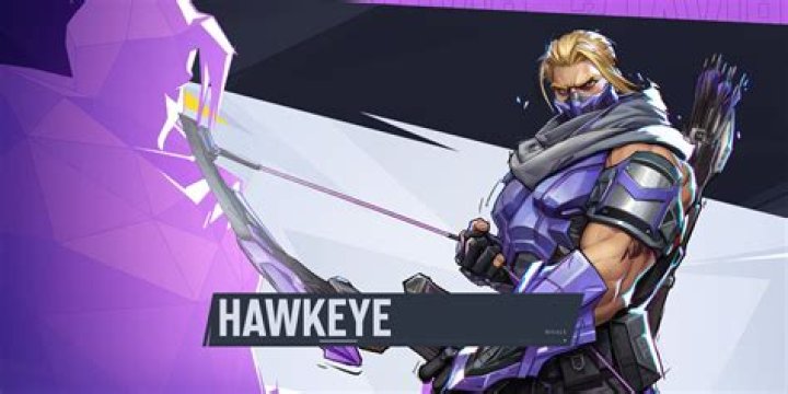 Is Hawkeye rich?