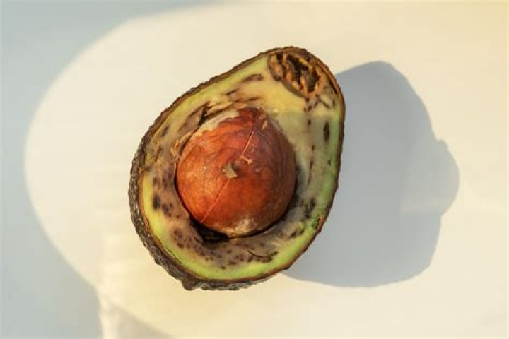 Is it OK to eat a hard avocado?