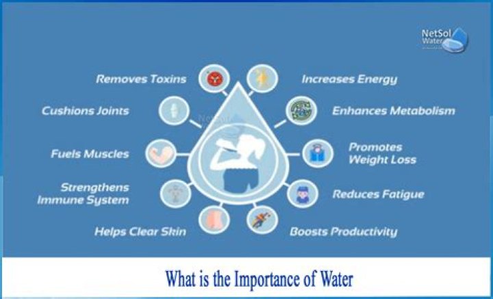 Is it possible for life to exist without water?
