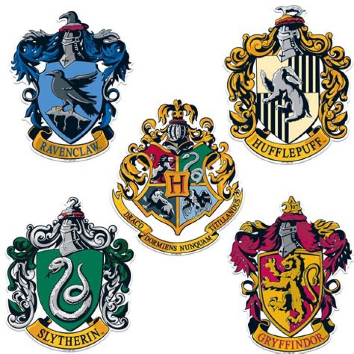 Is it possible to be in every Hogwarts house?