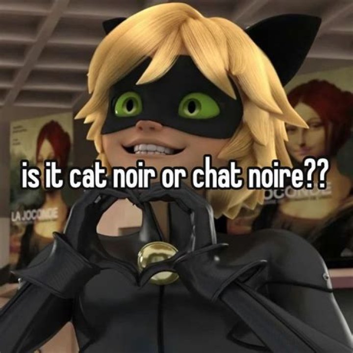 Is it spelled Chat Noir or Cat Noir?