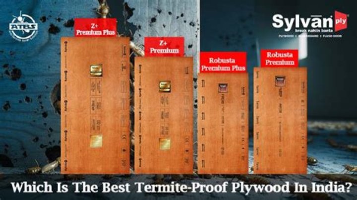 Is mango wood termite proof?
