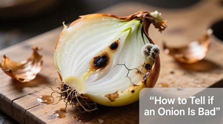 Is onion poisonous to rats?