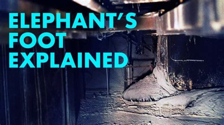 Is the elephant's foot alive?