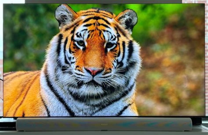 Is there any 8K content?