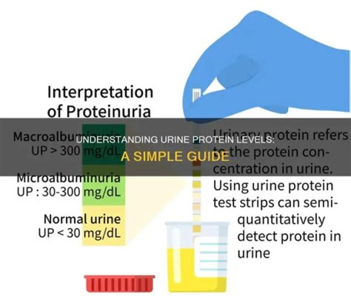 Is there protein in urine?