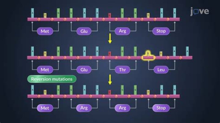 What's the difference between substitution and frameshift mutation?
