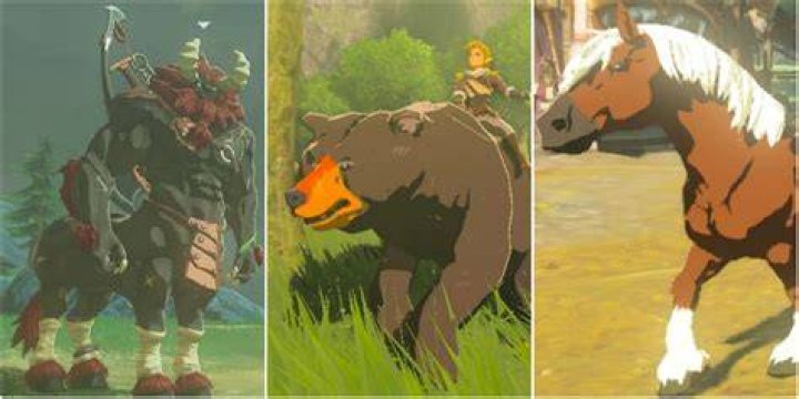 What animals can link ride Botw?