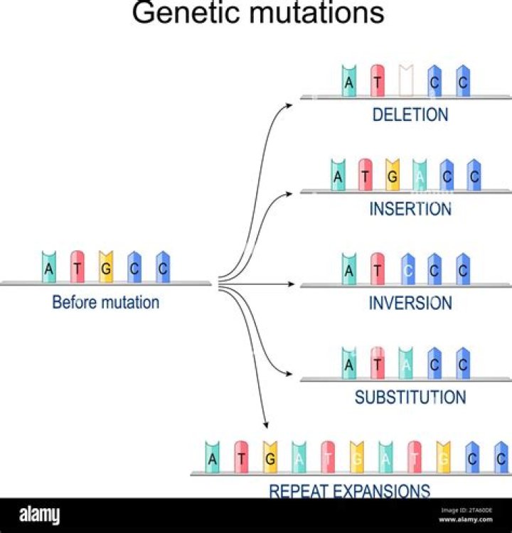 What are insertion deletion and substitution mutations?