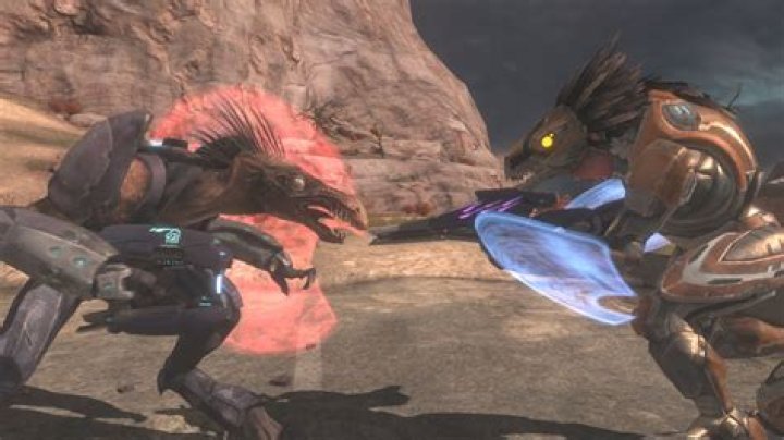 What are jackals in Halo?