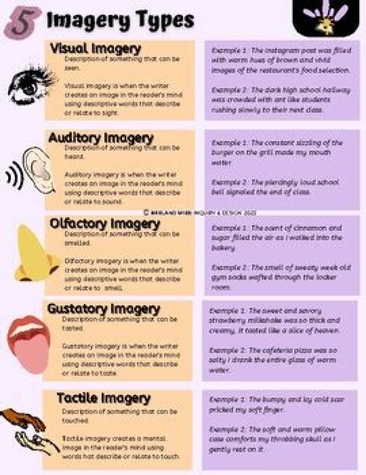 What are the 7 major types of imagery?