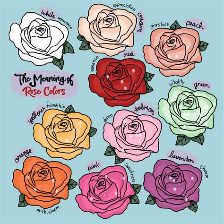 What colour rose means forever?