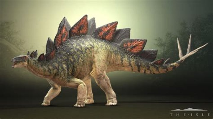 What dinosaur has the smallest brain to body ratio?