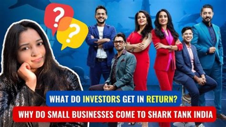 What do investors get in return?