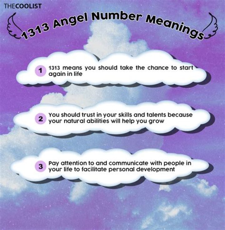 What does 13.31 mean?