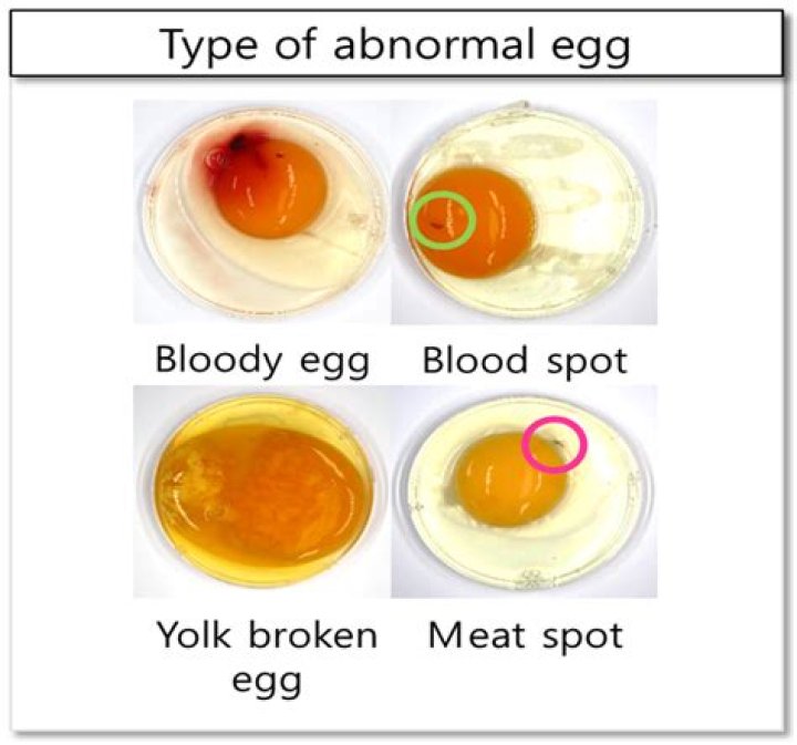 What does it mean when you crack an egg and the yolk is already broken?