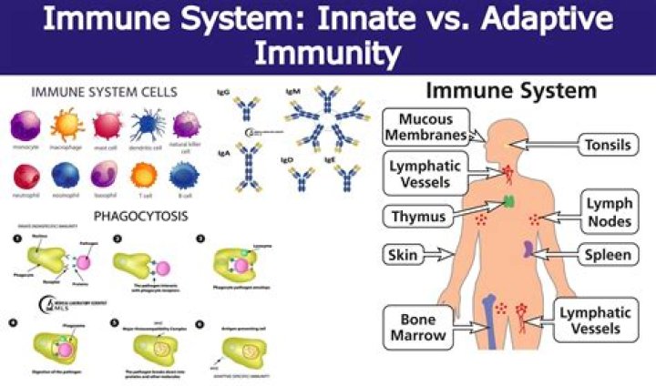 What does paralysis Immunity do Lost Ark?